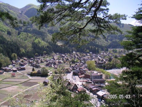 s_pict0196.jpg